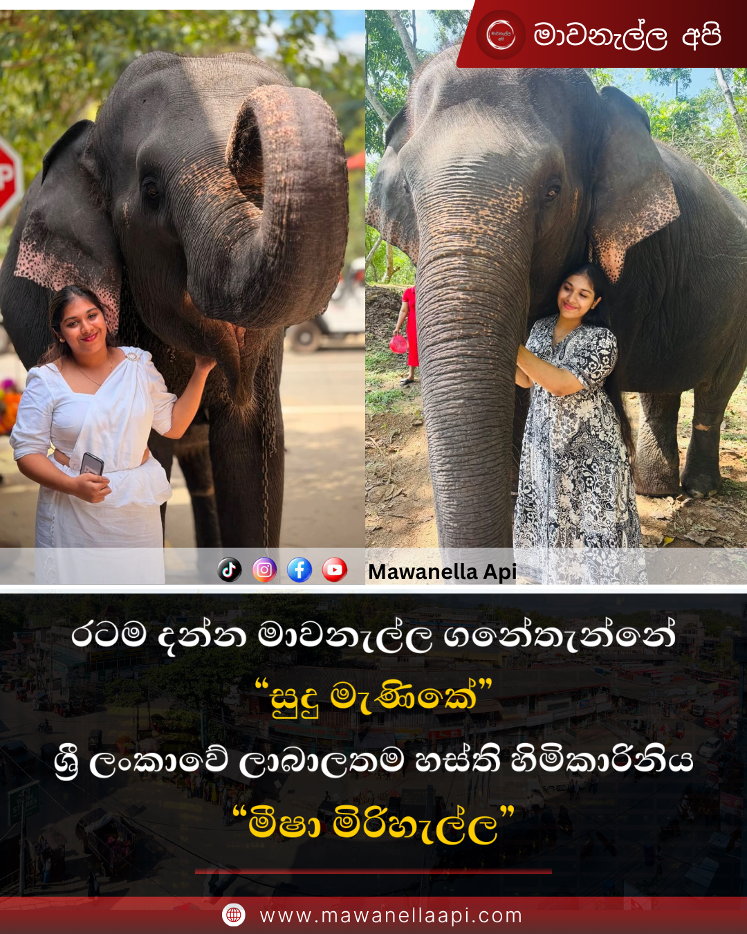 රටම දන්න මාවනැල්ල ගනේතැන්නේ "සුදුමැණිකේ" ලංකාවේ ලාබාලතම හස්ති හිමිකාරිනිය "මීෂා මිරිහැල්ල"