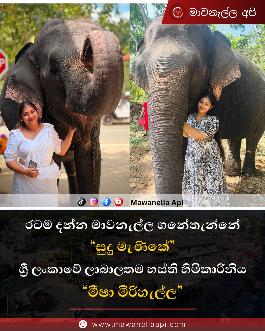 රටම දන්න මාවනැල්ල ගනේතැන්නේ "සුදුමැණිකේ" ලංකාවේ ලාබාලතම හස්ති හිමිකාරිනිය "මීෂා මිරිහැල්ල"